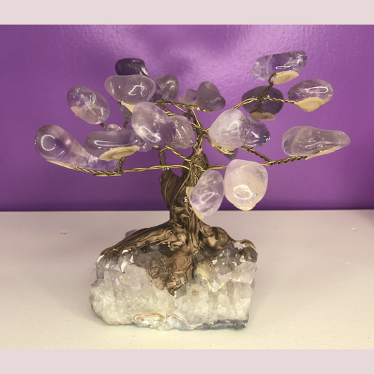 Amethyst Crystal Tree (medium)